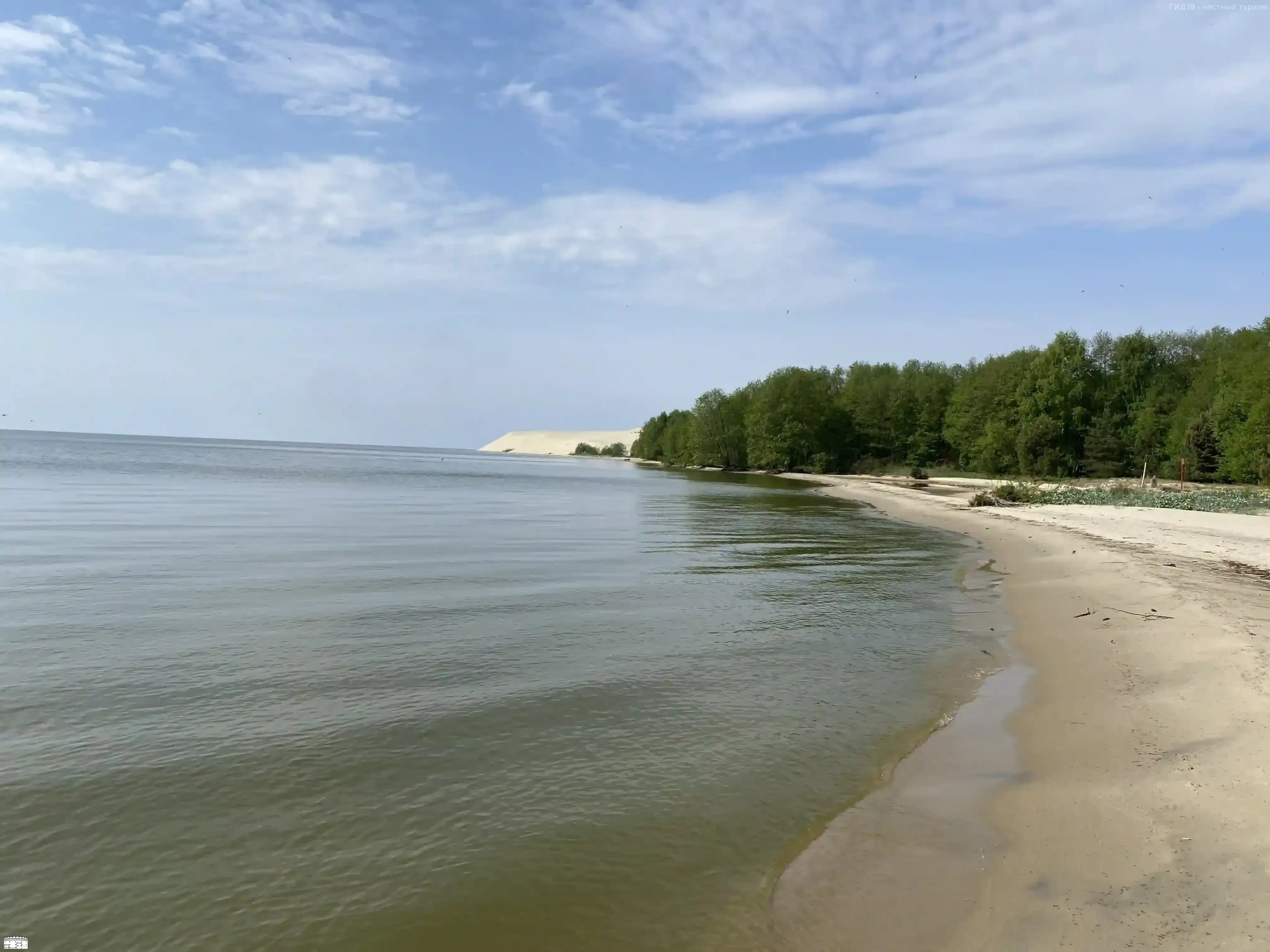 Куршский залив