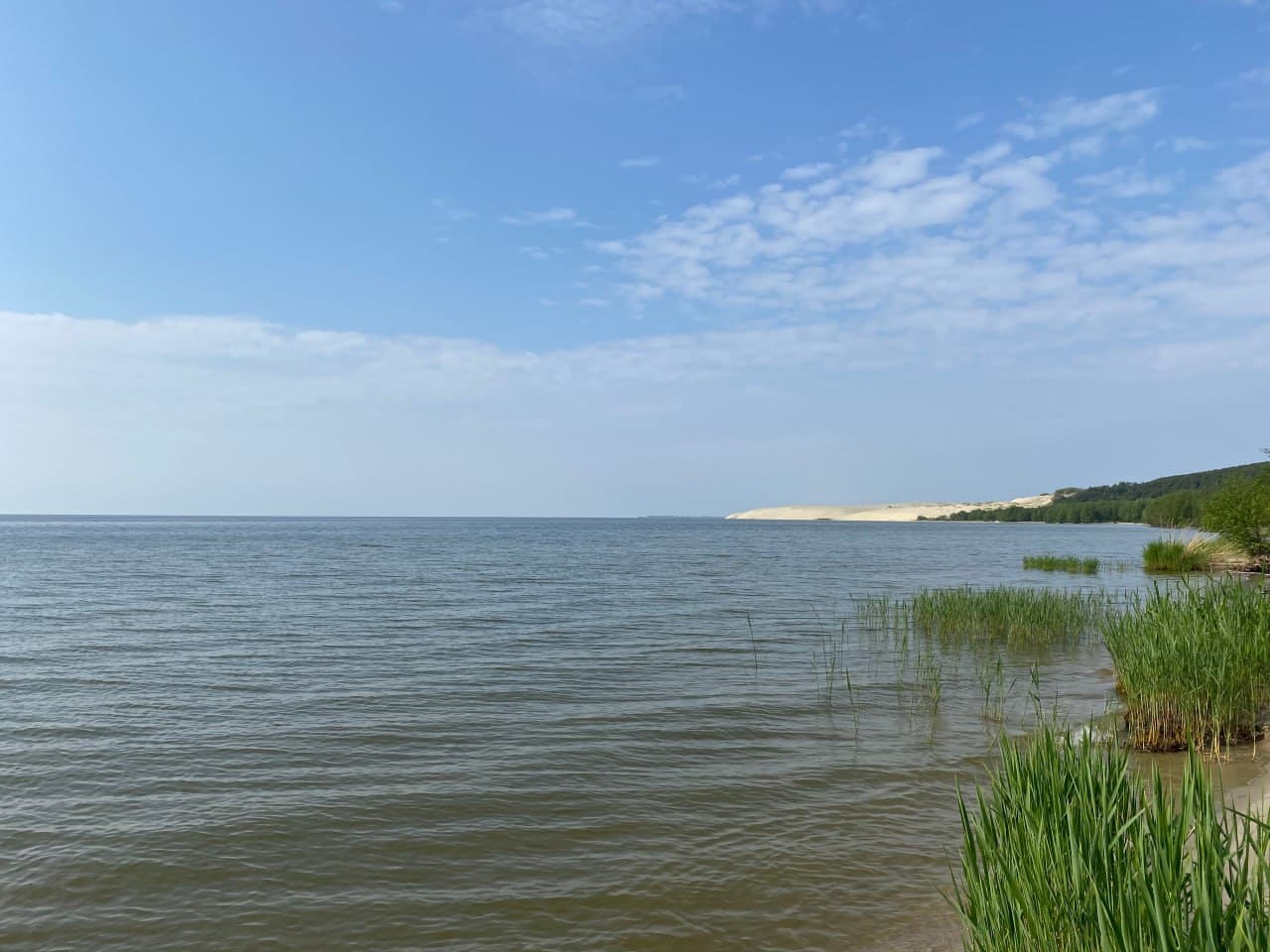 Куршский залив 